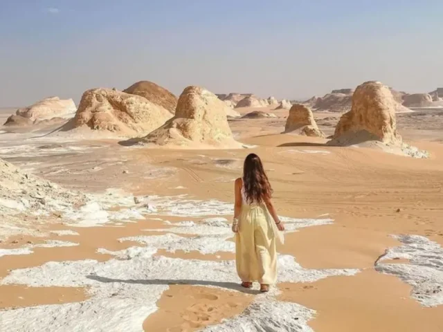 Bahariya Oasis Egypt: Complete Travel Guide to the Western Desert