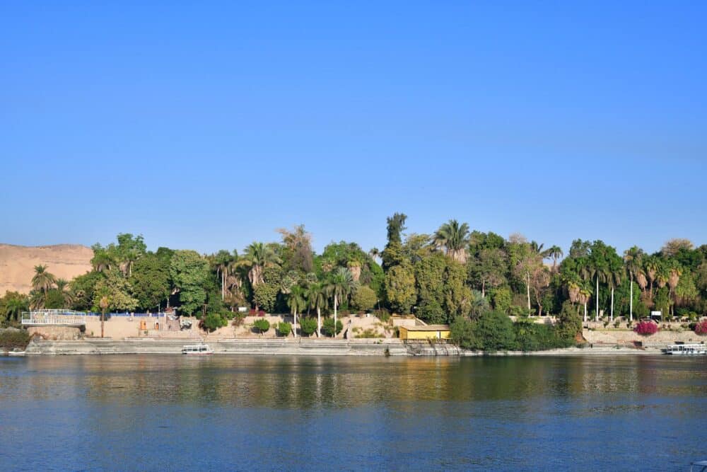 Aswan Botanical Garden's lush greenery captured by Egypt Tours Group.