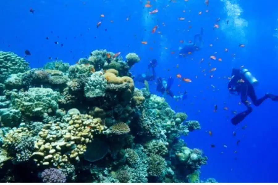 Diving in the Red Sea - Travel Medical Insurance for Egypt: What It Covers & How to Choose - Egypt Tours Group