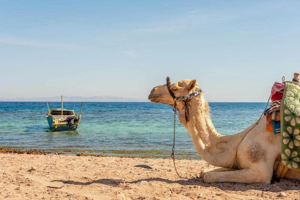 History Timeline of Hurghada