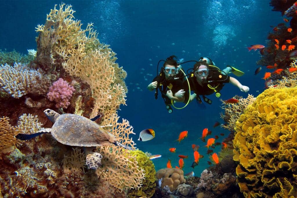 6 day Cairo and Hurghada tour package - Hurghada Red Sea Activities