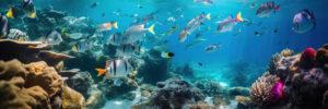 6 Days Cairo and Hurghada Tour Package