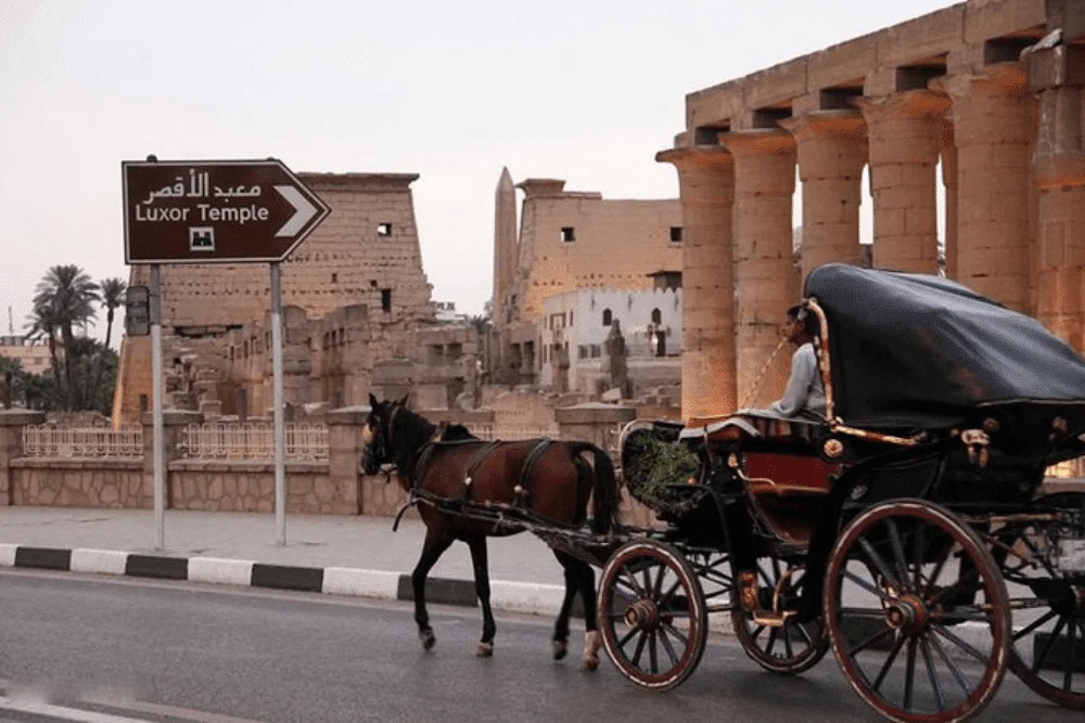 A horse carriage ride through Luxor's enchanting streets with Egypt Tours Group.