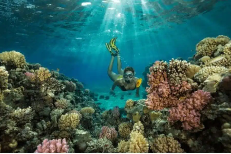 Snorkeling at Hurghada in the Red Sea - Best Travel Insurance for Egypt (2025): What to Compare - Egypt Tours Group