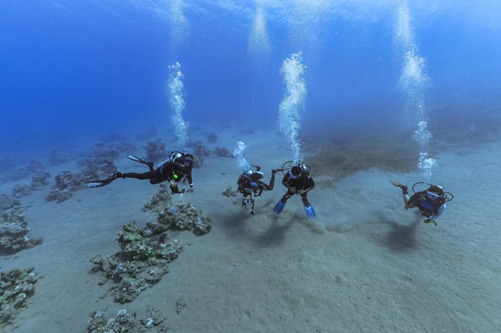 Image of Scuba Diving in Hurghada for Your Scuba Diving in Hurghada