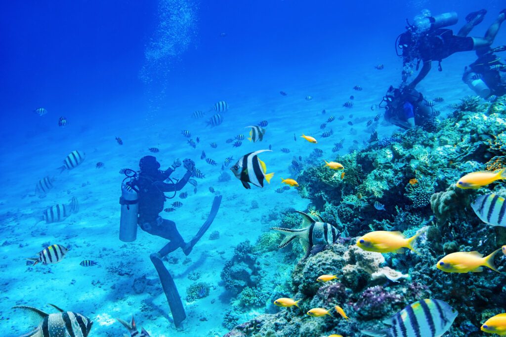 Underwater Exploration in Hurghada - Scuba Diving in Hurghada