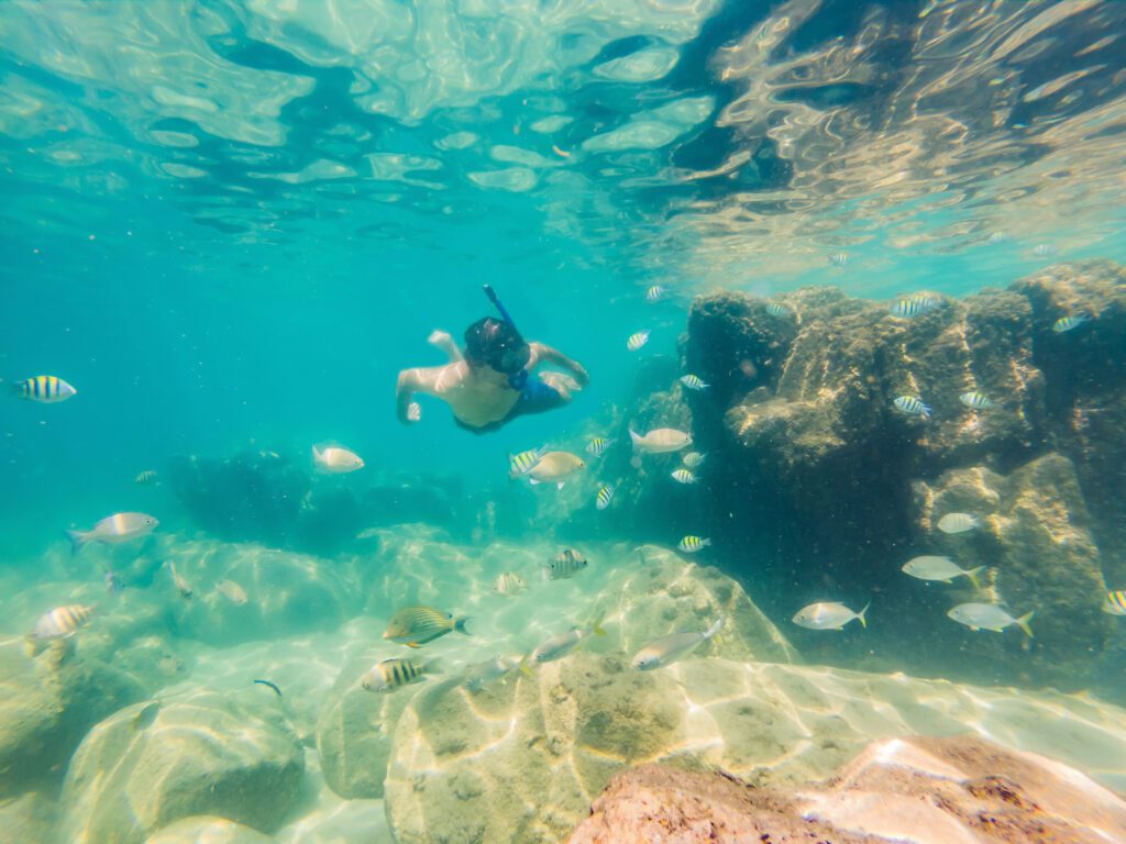 Hurghada's Scuba Adventures - Ideal for Your Scuba Diving in Hurghadaa