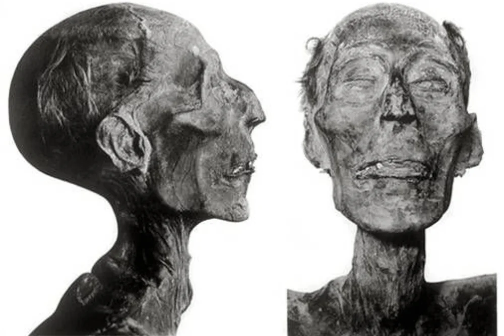 Black-and-white photo showing two views of an ancient Egyptian mummy head, one in profile and one front-facing.