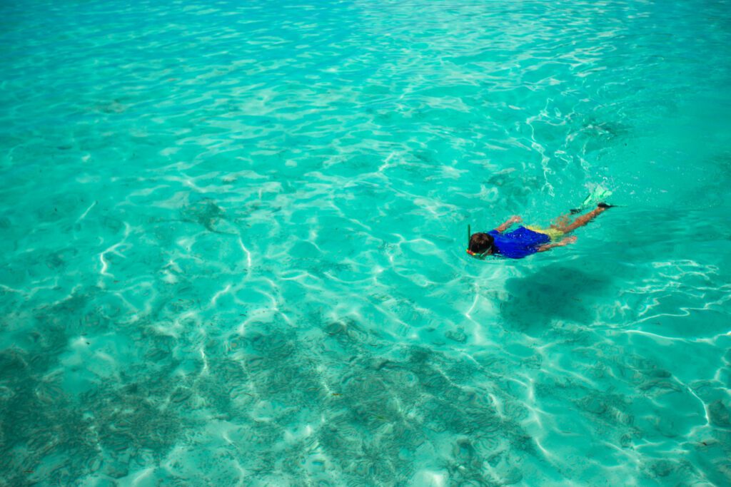 Snorkeling in Hurghada - Colorful Coral Reefs - hurghada snorkeling