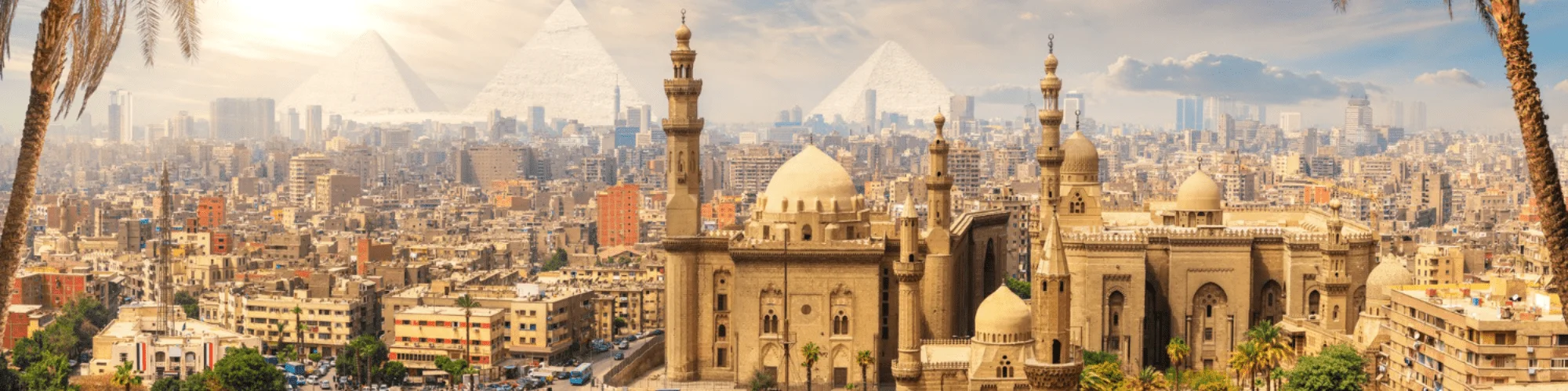 5-day Cairo and Alexandria tour packages - The Egyptian Museum