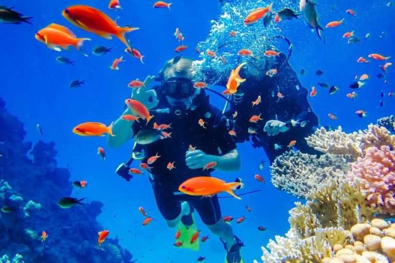 Sharm El Sheikh – Egypt’s Red Sea Paradise