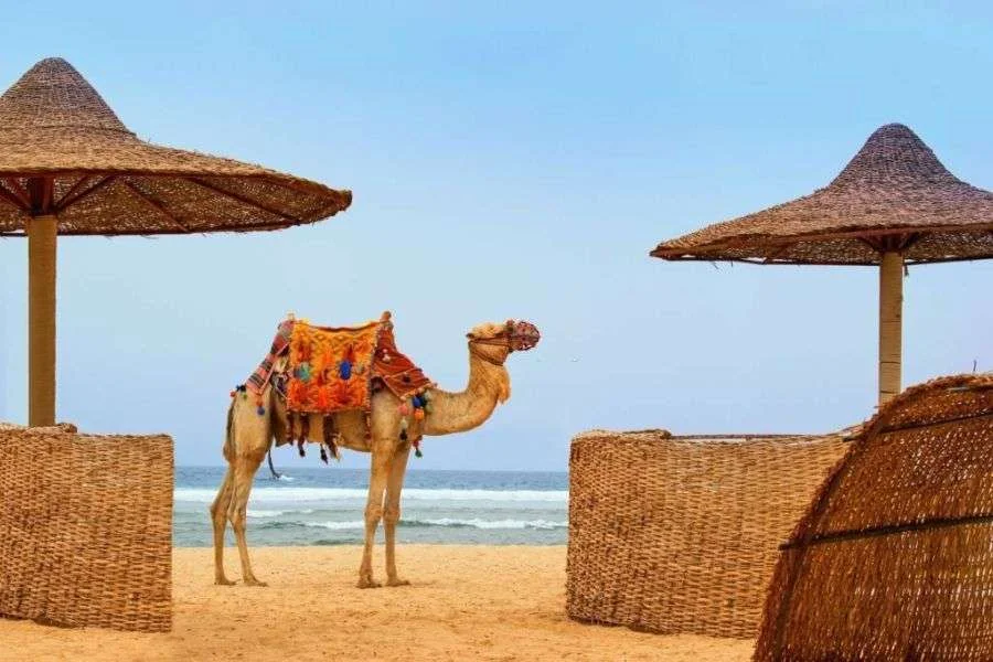 Sharm El Sheikh City - Egypt Tours Group
