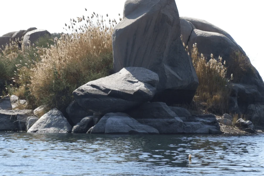 Elephantine Island.