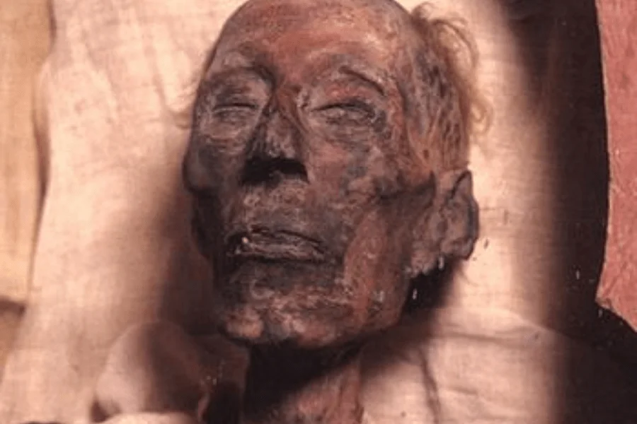 What is a Pharaoh? - Ramesses II