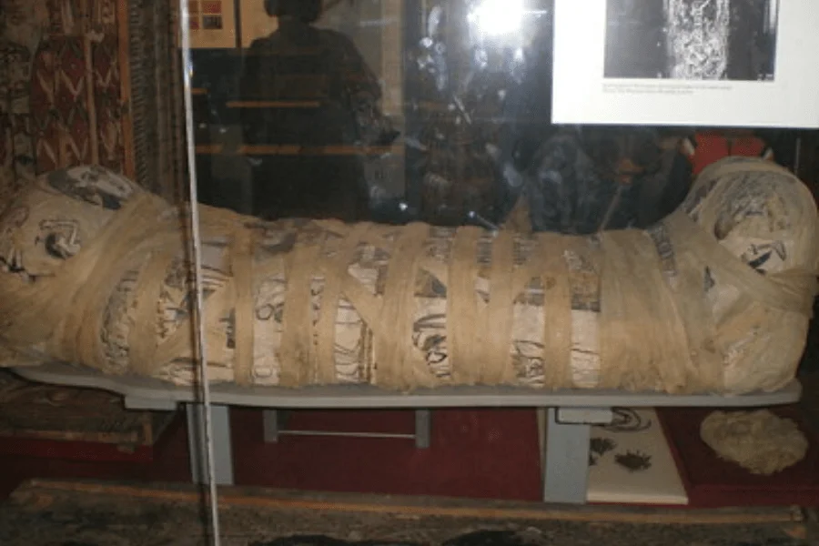 Debate on the race of ancient Egyptians in history and politics