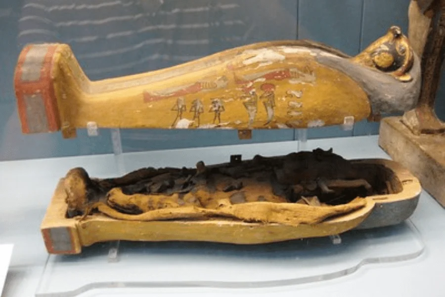 Egyptian Sarcophagus.