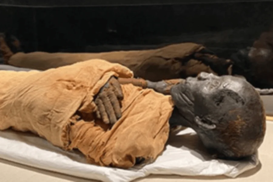 The Royal Mummies Hall in the NMEC Museum