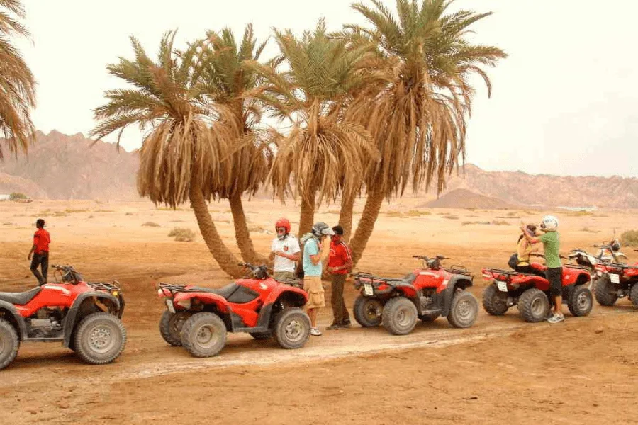 Desert safari in Hurghada - 9 Days Cairo, Luxor & Hurghada Tour