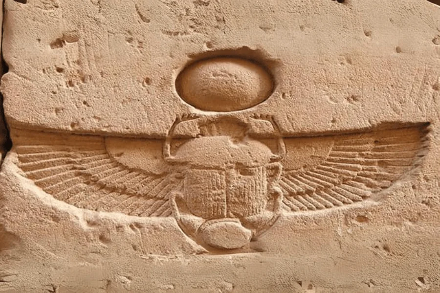 Egyptian Beetle