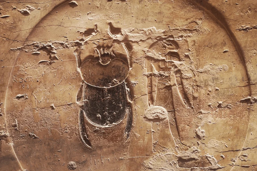 Egyptian Scarab Beetles in KV17
