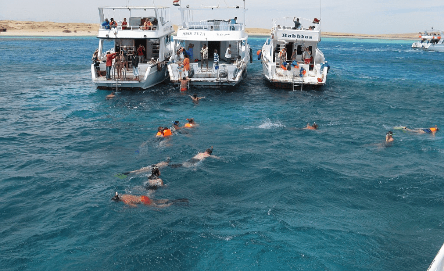 Snorkeling in the Red Sea at Hurghada - 8 Days Cairo, Nile Cruise and Hurghada Tour