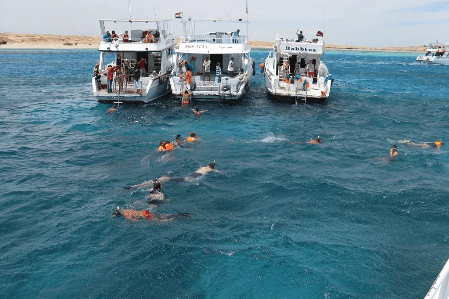 Snorkeling in the Red Sea at Hurghada - 8 Days Cairo, Nile Cruise and Hurghada Tour