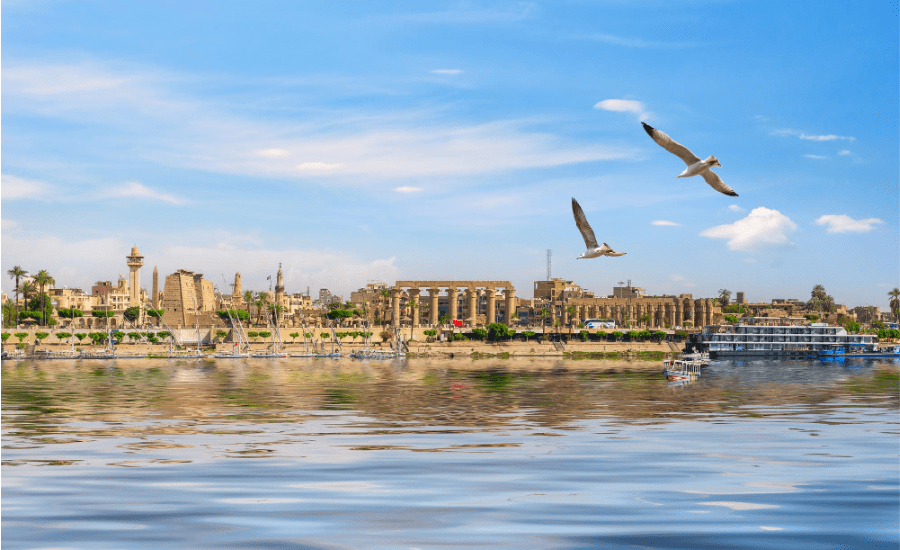 Nile River cruise to Luxor and Aswan - Cairo, Nile Cruise & Abu Simbel Tour Package