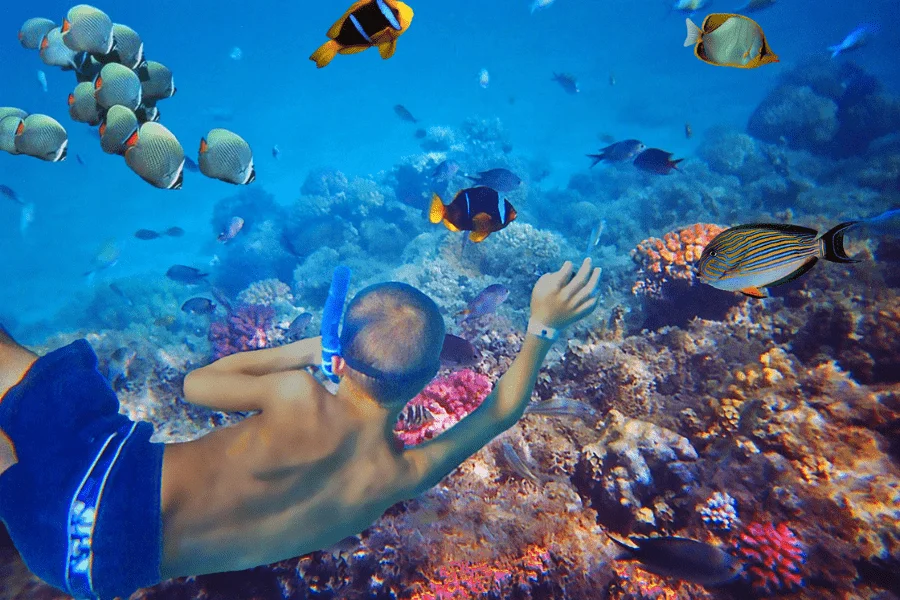 Snorkeling in Hurghada, very fun part of our 9 Days Egypt Tour Package