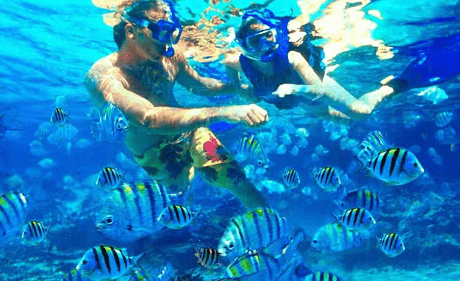 9 Days Egypt Tour: Cairo Luxor, and Hurghada Package - Snorkeling in Hurghada's Red Sea