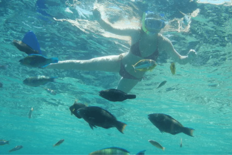 Snorkeling in El Gouna, Egypt, in the clear Red Sea water with colorful fish.