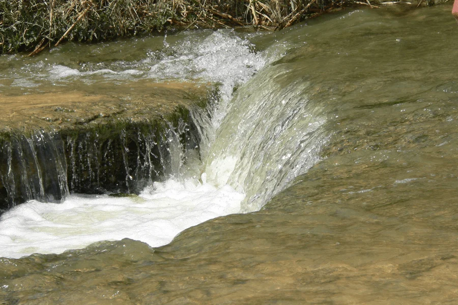 Faiyum oasis