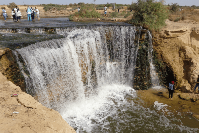 Faiyum Oasis, Egypt – Complete Travel Guide