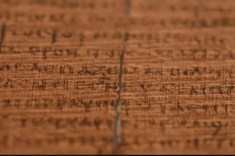 Close-up of writing on a papyrus sheet.