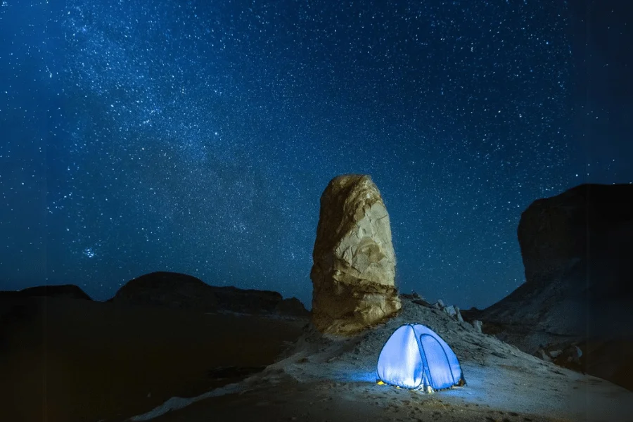 Night Camping in the White Desert - 7 Days Cairo, Abu Simbel, Luxor and Bahariya Oasis Tour