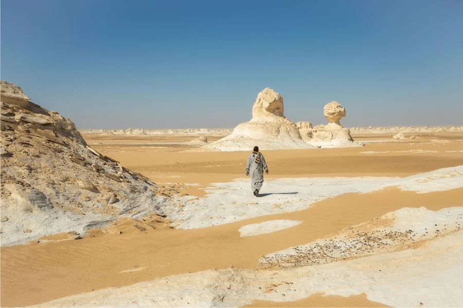 the white desert - 7 Days Cairo, Abu Simbel, Luxor & Bahariya Oasis Tour