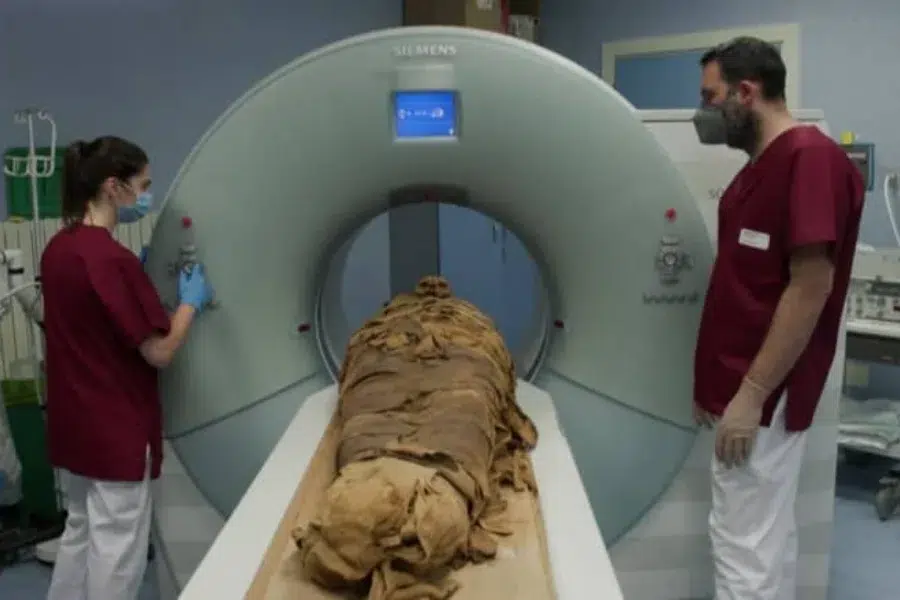 DNA analysis of Ancient Egyptian mummies - The race of an Egyptian