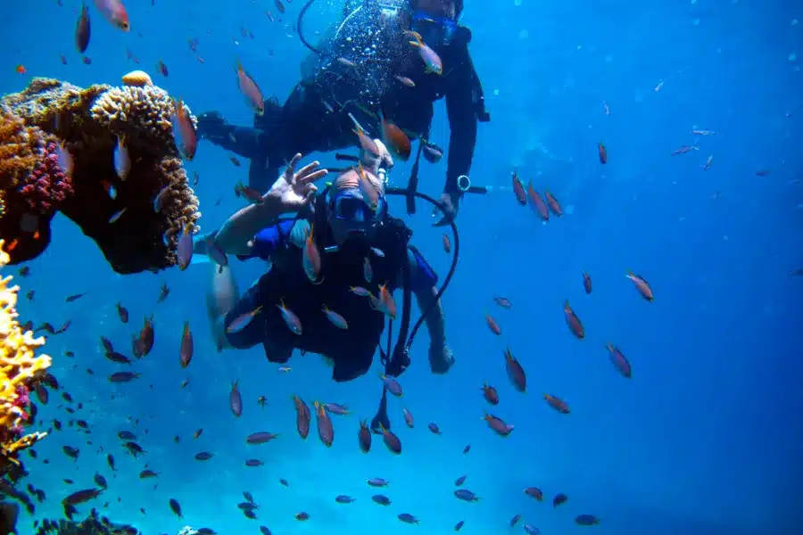 Scuba diving in the Red Sea with coral reefs and marine life in Egypt