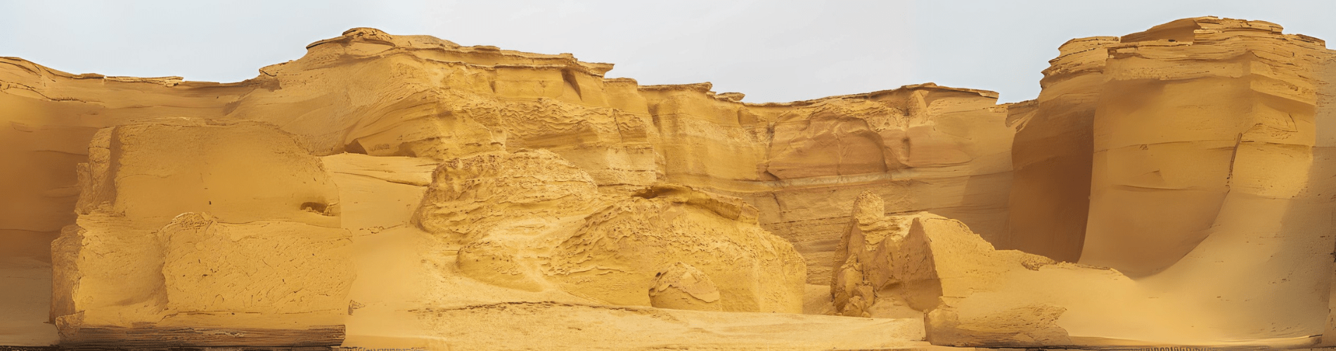 Wadi Al-Hitan (Valley of the Whales) - Wadi Al Hitan Day Tour from Cairo