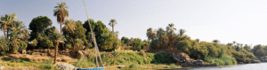 Nile Boat Trip to Aswan Botanical Garden