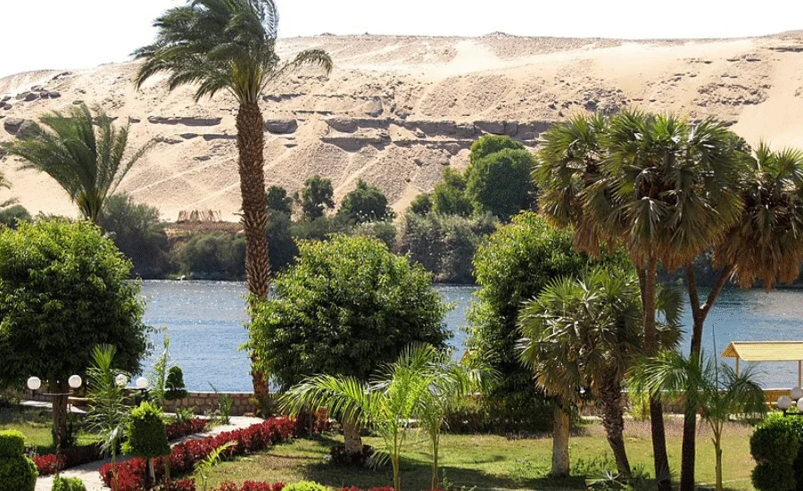 Kitchener Island – Aswan’s Hidden Green Gem - Aswan Botanical Garden Nile Boat Trip