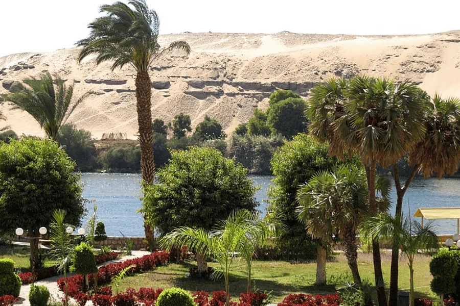 Kitchener Island – Aswan’s Hidden Green Gem - Aswan Botanical Garden Nile Boat Trip