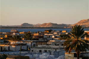 A scenic view of Siwa Oasis with palm trees and desert backdrop