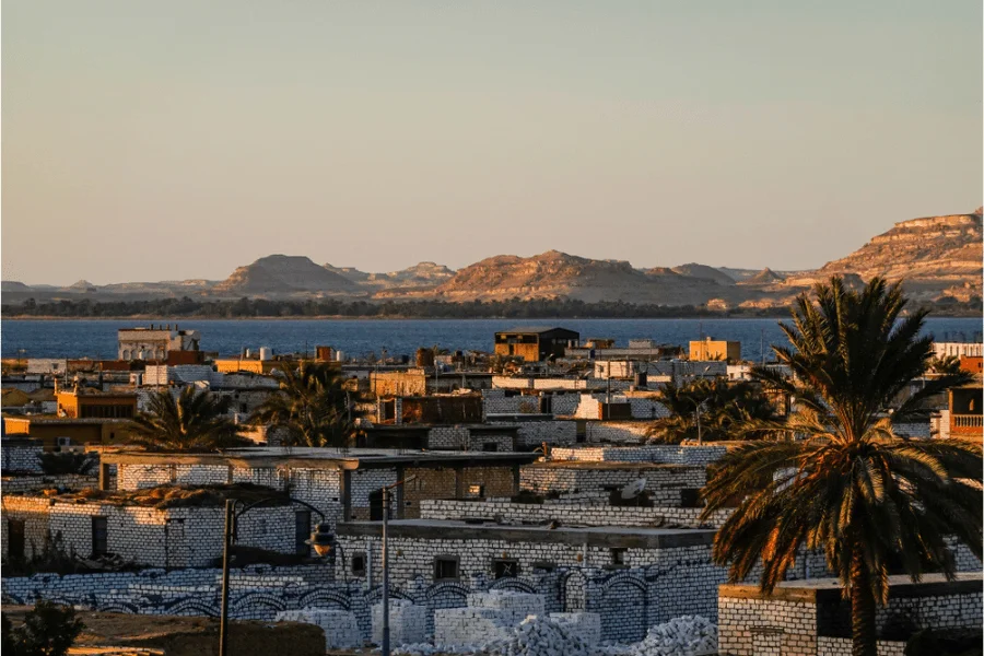 A scenic view of Siwa Oasis with palm trees and desert backdrop