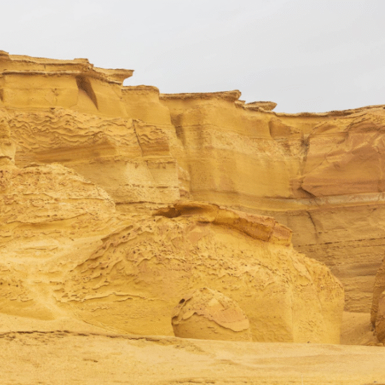 Wadi Al-Hitan (Valley of the Whales) - Wadi Al Hitan Day Tour from Cairo