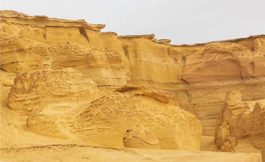 Wadi Al-Hitan (Valley of the Whales) - Wadi Al Hitan Day Tour from Cairo