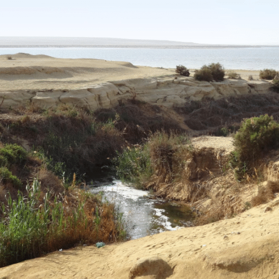 Wadi El-Rayan’s waterfalls offer a serene escape, where nature’s beauty flows through the desert - 2 Days Fayoum & Wadi Al Hitan Tour from Cairo