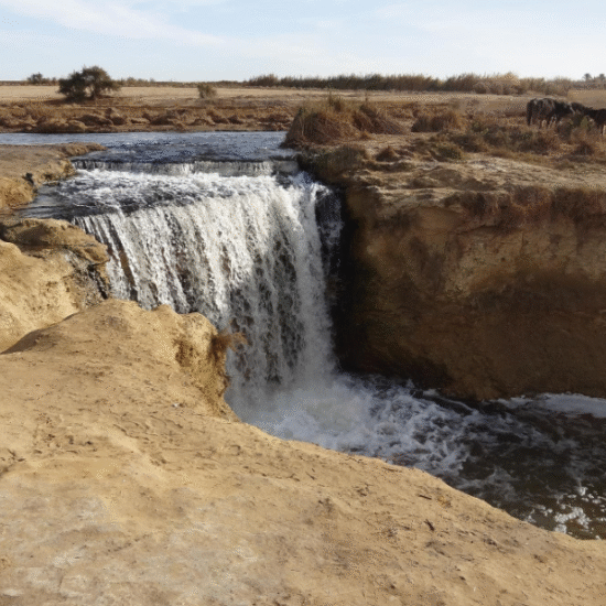 Wadi El-Rayan’s waterfalls offer a serene escape, where nature’s beauty flows through the desert.