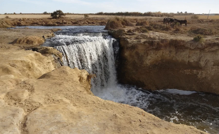 Wadi El-Rayan’s waterfalls offer a serene escape, where nature’s beauty flows through the desert.