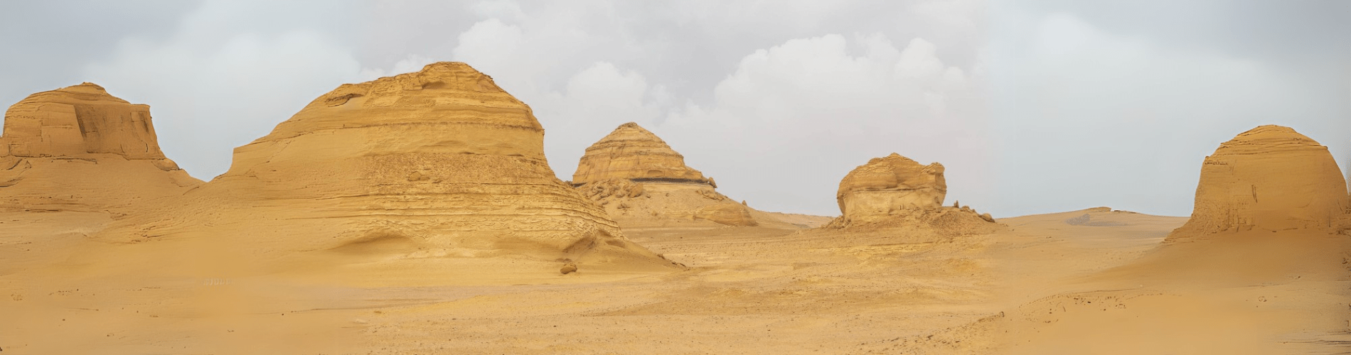 Wadi Hitan in Fayoum holds the secrets of ancient seas, where fossils tell stories of a prehistoric world - 2 Days Fayoum & Wadi Al Hitan Tour from Cairo