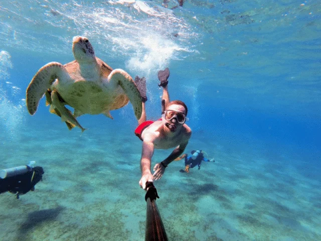 Marsa Alam Travel Guide: Best Beaches, Hotels & Attractions
